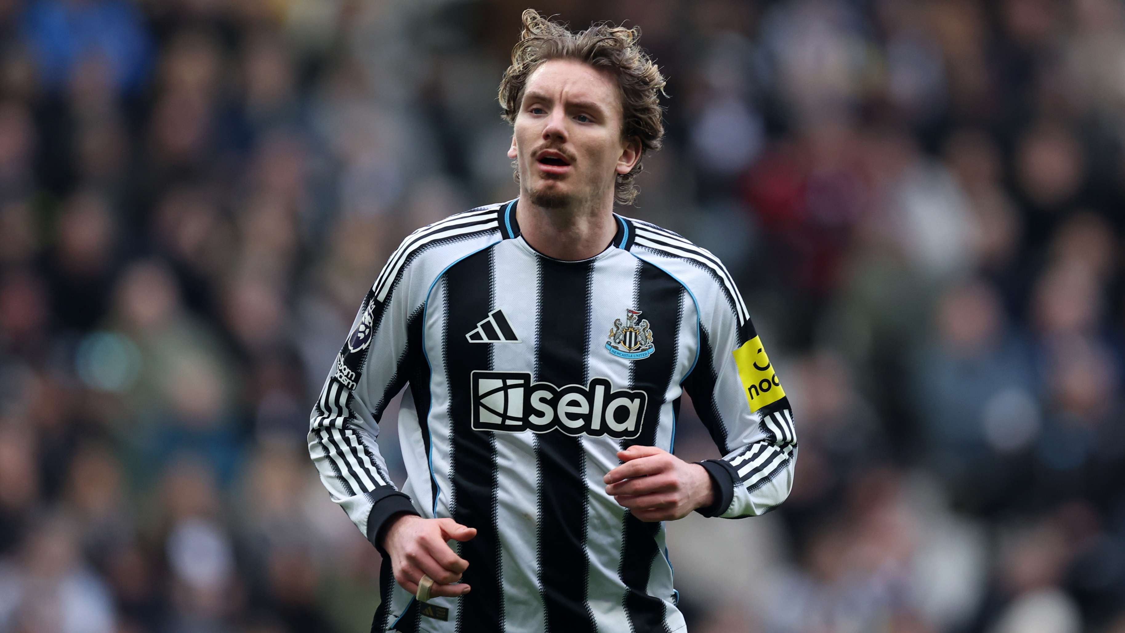 Eddie Howe Sets Nick Woltemade Path to More Newcastle Minutes